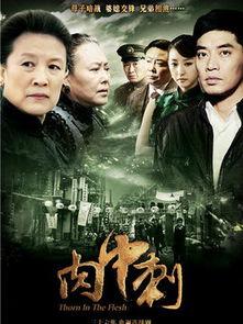 电视剧独刺在线观看,揭秘暗杀风云，揭秘幕后真相！